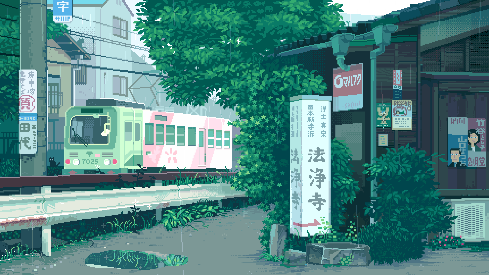 Senal's Space